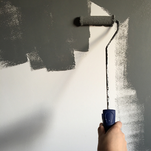 Paint Rolling Image 300x300