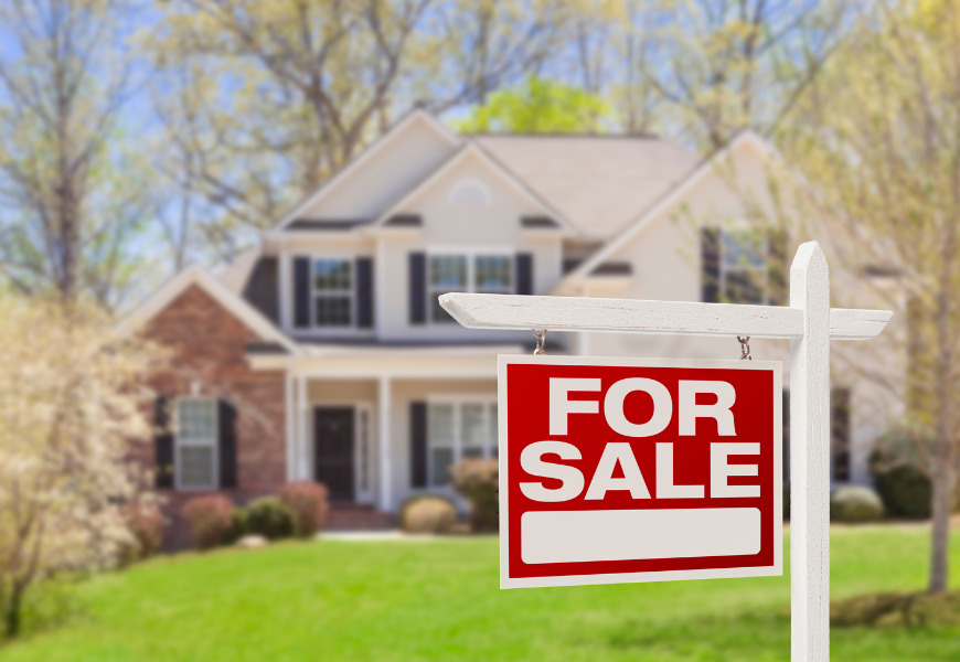 Real Estate Image Main